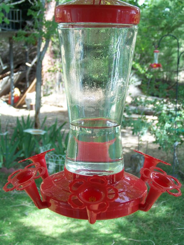 Garden44 Hummingbird feeder review