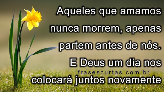 Novo Frases De Saudade De Quem Morreu