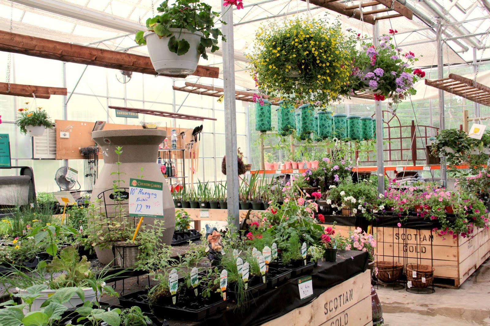 Bloomingwriter Gardening in Nova Scotia Great Nurseries in Nova Scotia