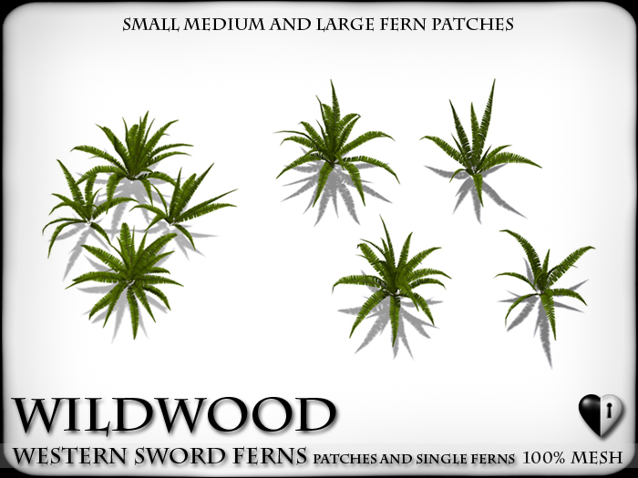 Heart Botanicals Western Sword Ferns Texture Changing