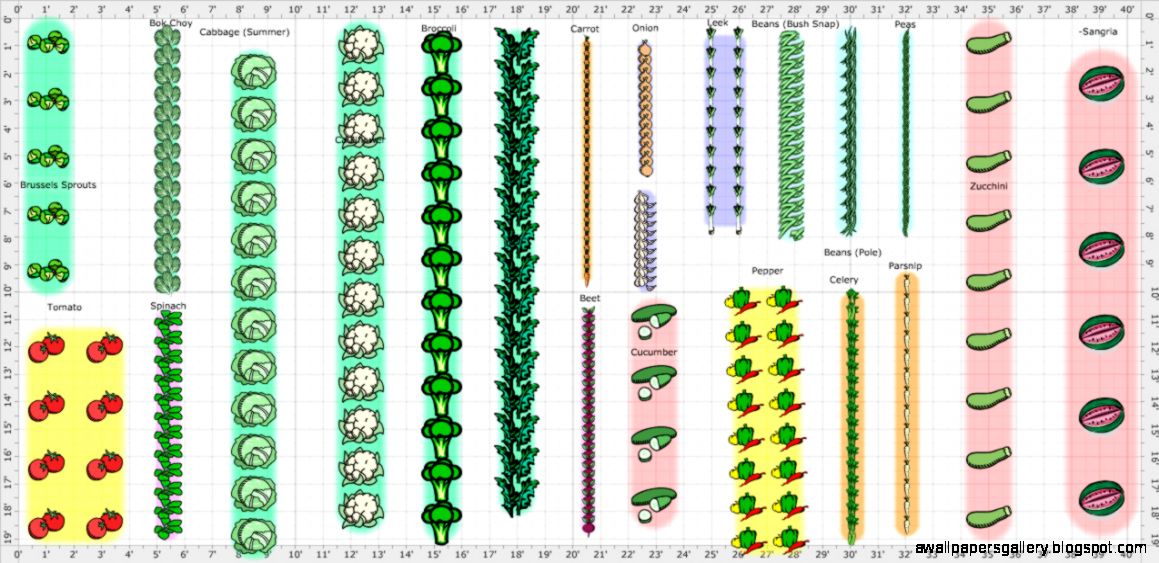 Vegetable Garden Layout Part 7   Vegetable Garden Layout Planner