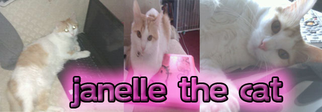 Janelle The Cat