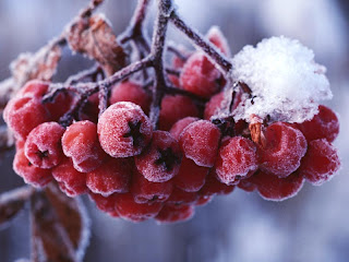 http://3.bp.blogspot.com/-G2PFupHb3SQ/TtzGzAL0GnI/AAAAAAAAAHk/9FPfJcMg_W8/s320/a_43061%255B1%255D.jpg