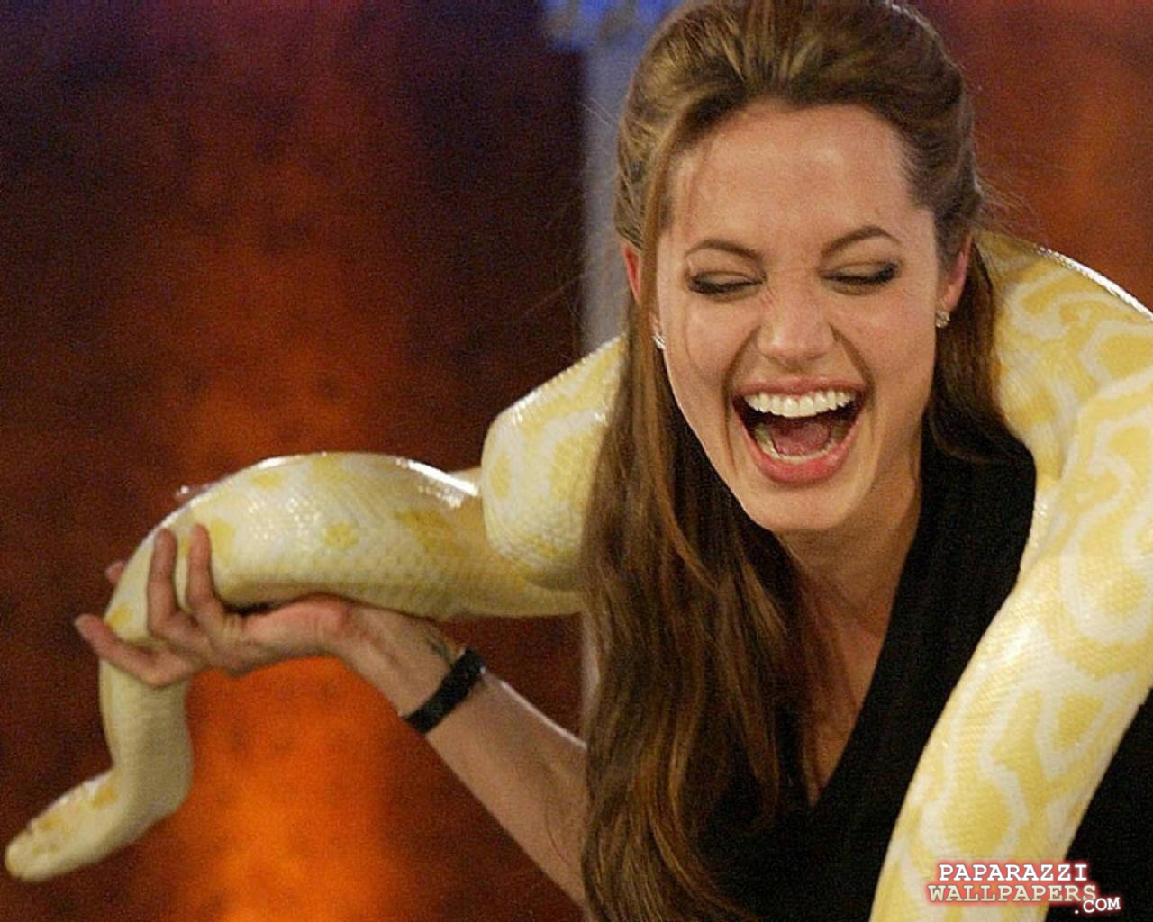Женщина змея видео. Анджелина Джоли со змеей. Джоли с питоном. Джоли Анджелина змею. Анджелина Джоли с питоном фото.