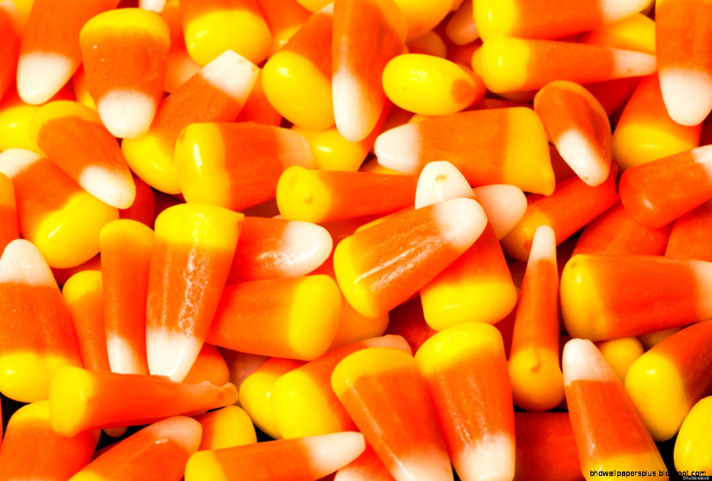 Candy Corn Is Most Buzzed Halloween Candy Says Research Group