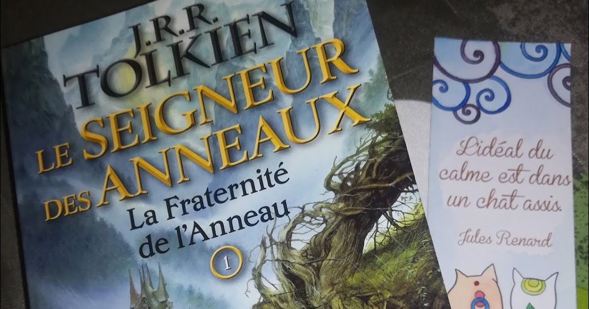 LE SEIGNEUR DES ANNEAUX TOME 1 La Fraternité de l