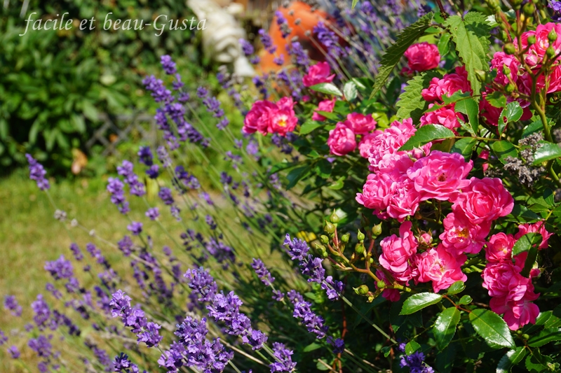 facile et beau - Gusta: Garten Allerlei im Juni