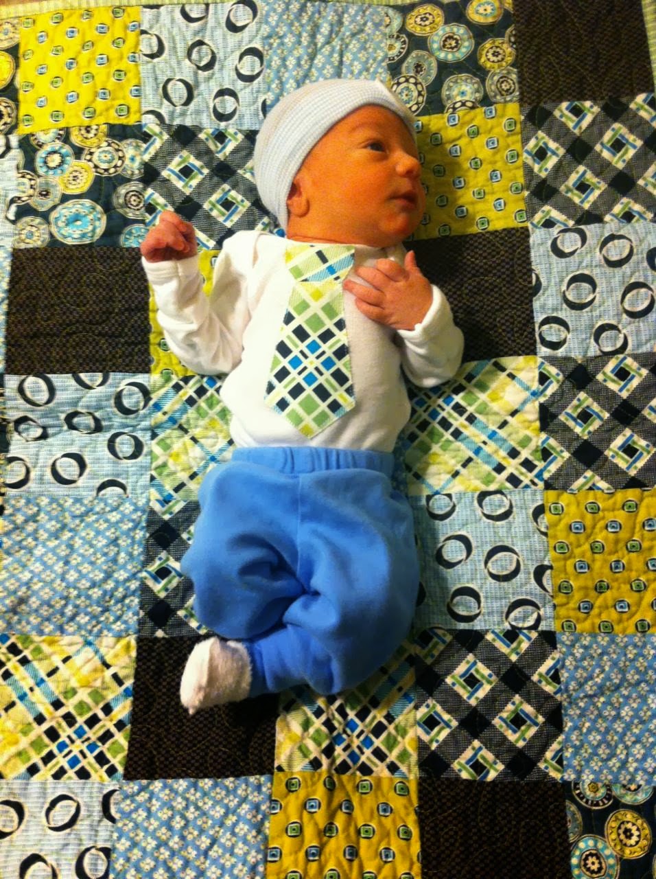 Oxford Impressions Denyse Schmidt Florence Quilted Baby Changing Pad