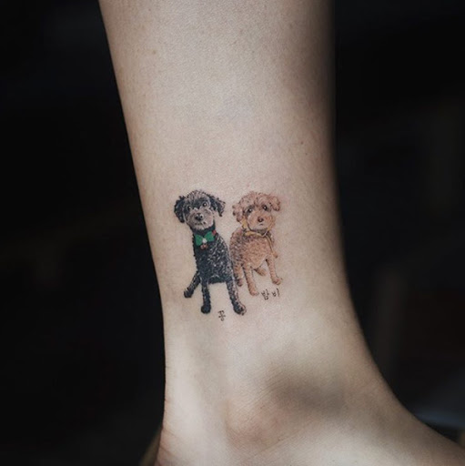 Este par de poodles