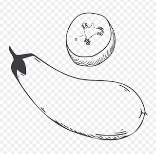 Sketsa Buah Terong Sketsa Buah Terong