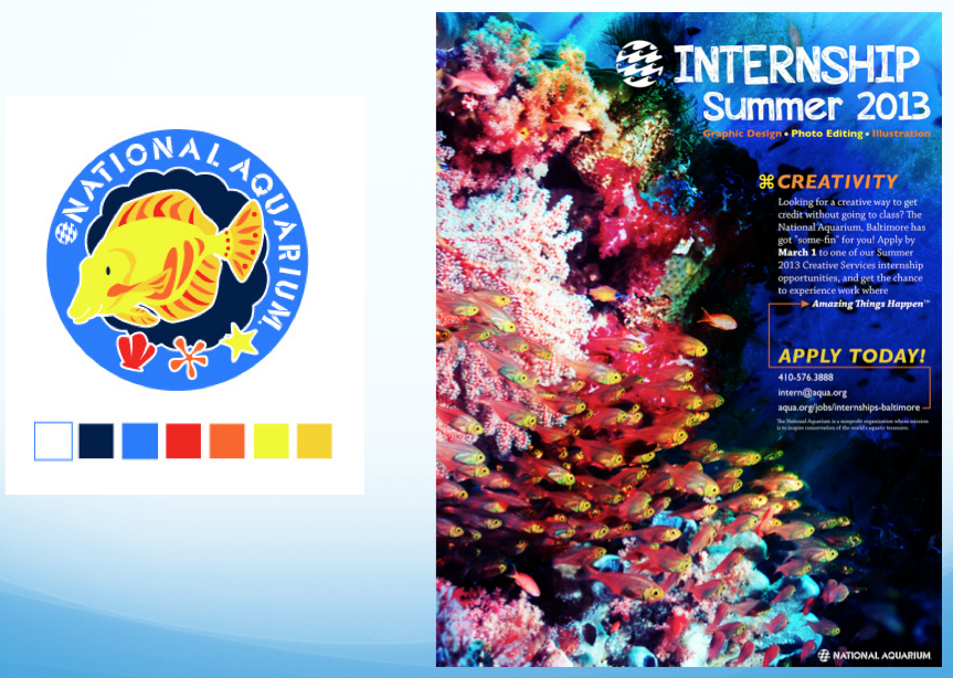 INTERNSHIP STORIES National Aquarium in Baltimore