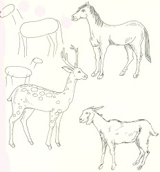 step easy animal outline drawing horse deer goat