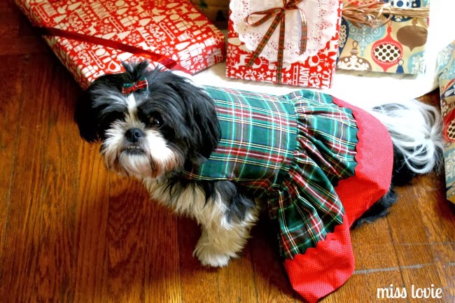 Shih tzu dress patterns Clearance
