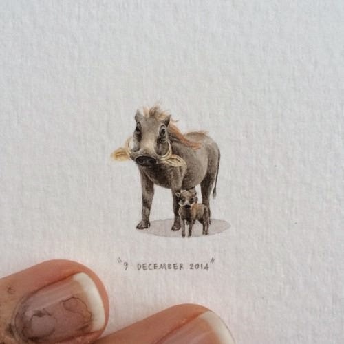 14-Warthog-Lorraine-Loots-Miniature-Paintings-Commemorating-Special-Occasions-www-designstack-co