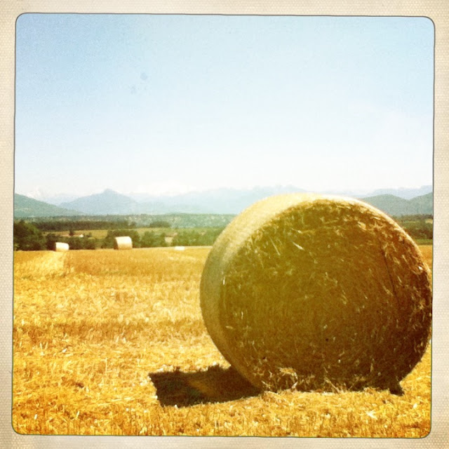 The FStops Here... Roll, Roll, Roll...