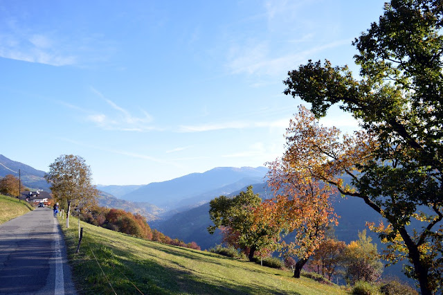 sentiero del castagno