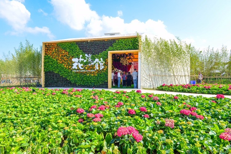 在農博基地入口的「錦鯉園」，以鋼骨及花草打造高達八米的巨大錦鯉綠雕裝置藝術，展現桃園草花王國的特色，也看見新屋錦鯉文化。