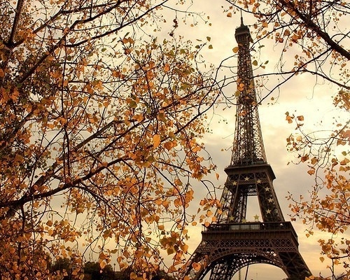 Tempos de Tudo: Papel de parede da Torre Eiffel