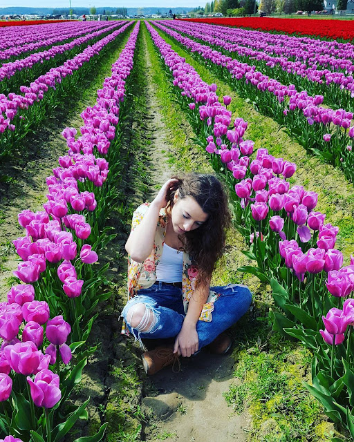 45 Hình ảnh hoa Tulip đẹp, Ý nghĩa của hoa Tulip & biểu tượng