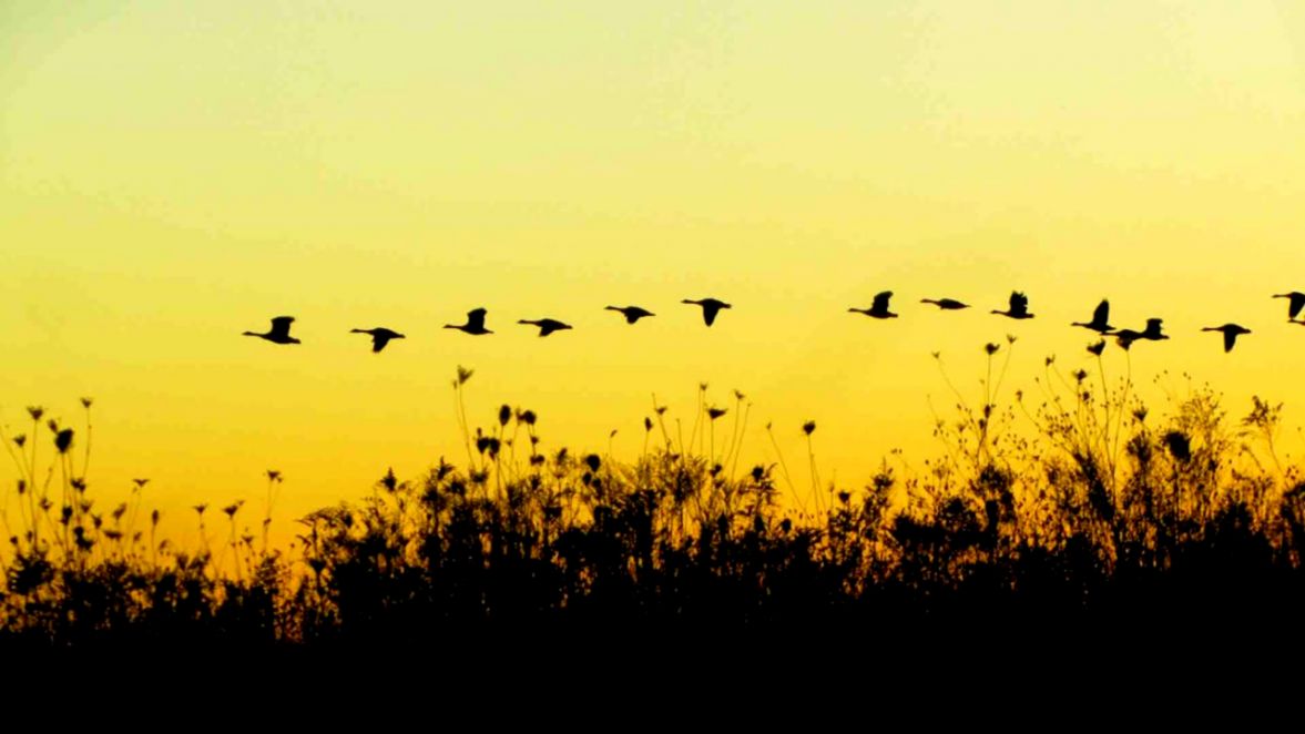 5 Ways Being A Good Follower Makes You A Better Leader  Fast