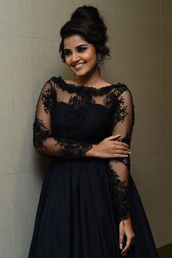 Anupama Parameswaran at Hello Guru Prema Kosame Pre release