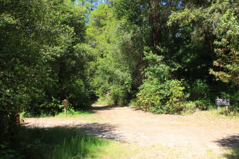 Eye On The View Portola Redwoods State Park Bridge Road