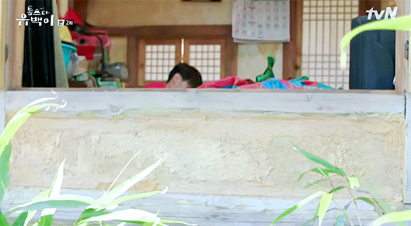 theqoo inserted image