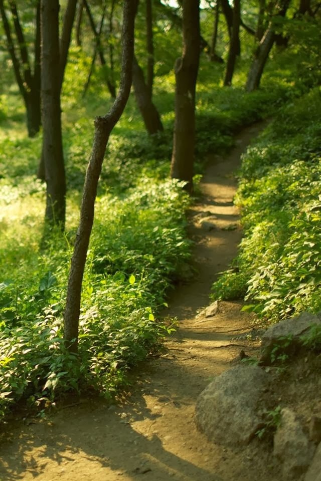 iPhone Nature HD Wallpaper Free Download | Informasi Harga Laptop dan