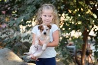 Queensland Heeler Puppy Dogs For Sale in Ventura County, Southern