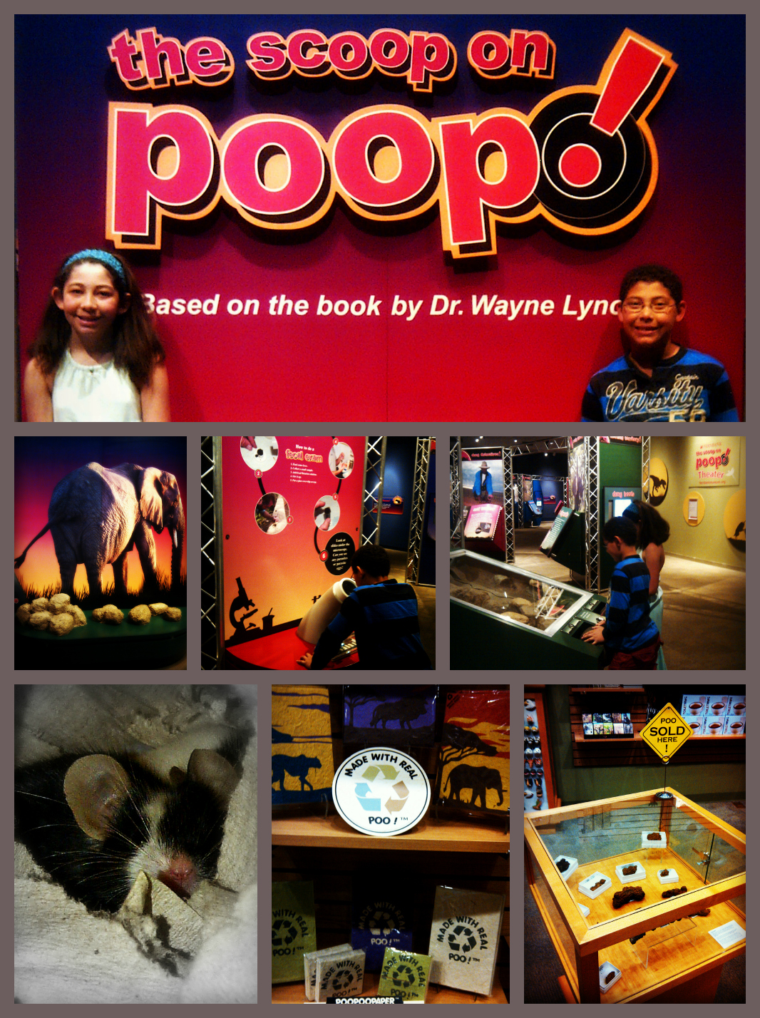 Scoop on Poop Dished Out by New Exhibition at the Fernbank Museum