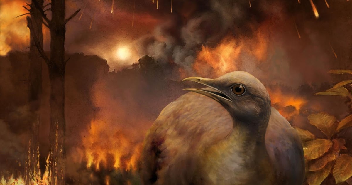 cretaceous mass extinction