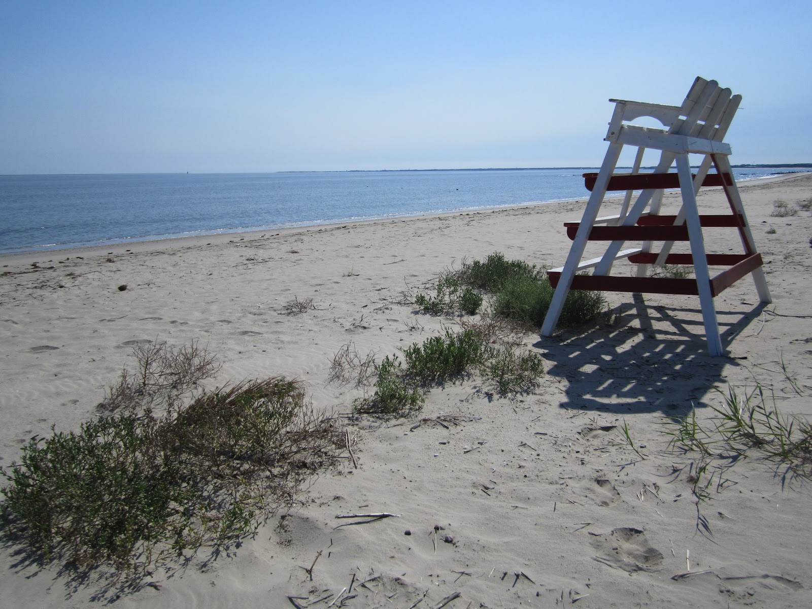 On The Pond Farm Broadkill Beach, Milton, Delaware