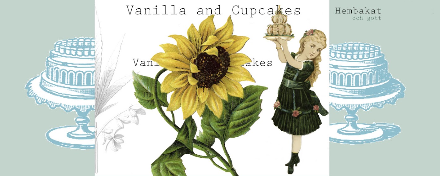 Vanilla and Cupcakes