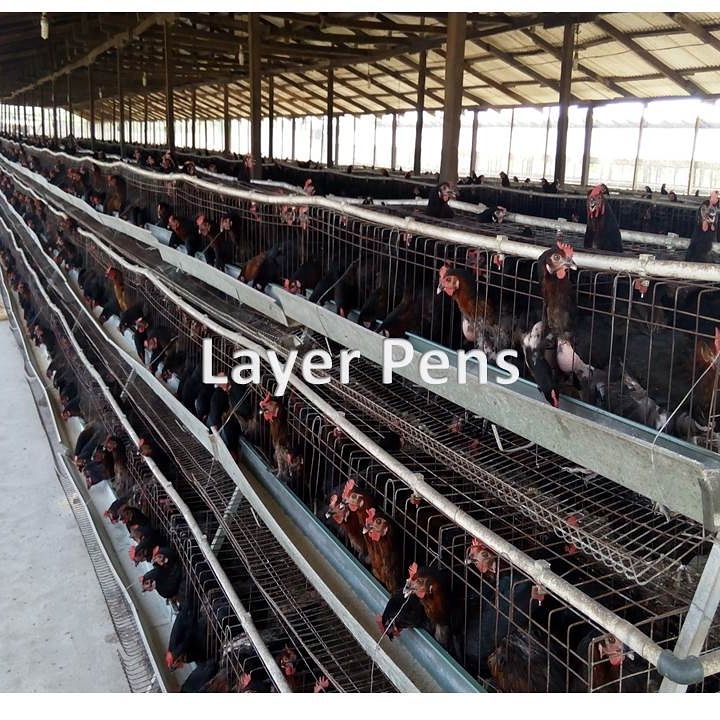 Poultry Farm for Sale in Epe Lagos