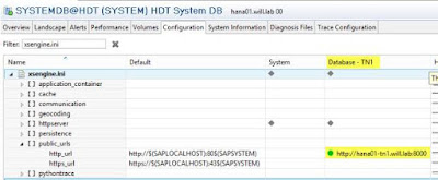 SAP Hana Dynamic Tiering setup on Multi-tenant database with DWF
