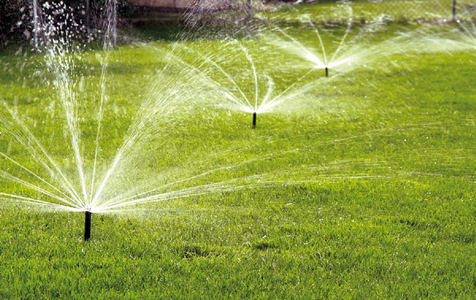How To Water Plants Sprinkler Irrigation With Advantages And