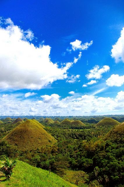 10 Most Famous Travel Destinations In Philippines | Chocolate Hills in Pilippines