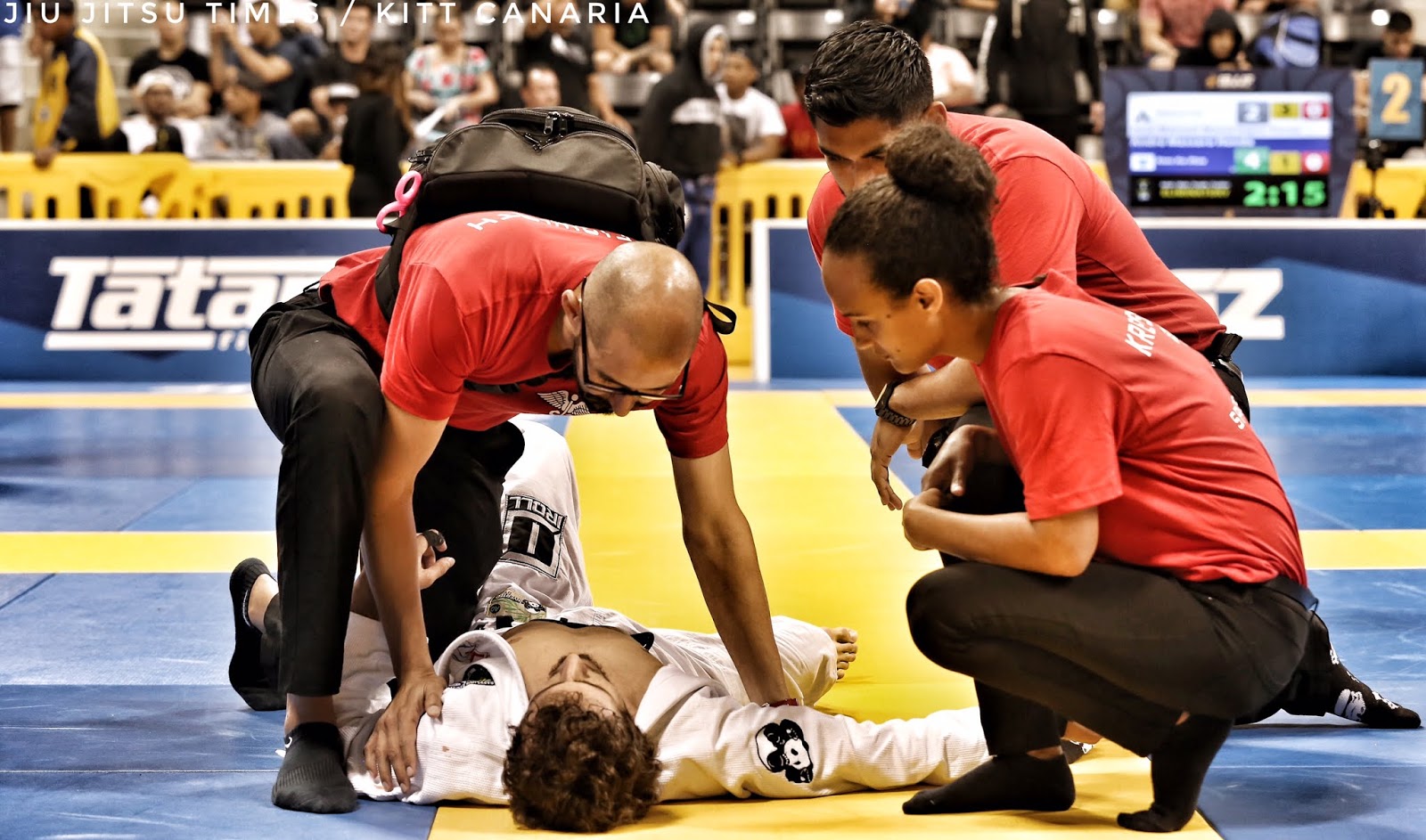 Jiu Jitsu Fight