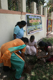 lungs, planet, Aniruddha bapu, bapu, aniruddha, happy home, saplings, forest, Gurukshetram,Tree Plantation, Shree Aniruddha Upasana Foundation, Tree Plantation, Aniruddha's Academy of Disaster Management, Ahilya Sangh, AADM, Sauf, Tulsi (Indian Basil), Rose, Mogra, Ginger, Curry Leaf plant, Zipri, plants God, prayer, Lord, devotion, faith, teachings, Bapu, Aniruddha Bapu, Sadguru, discourse, भक्ती, बापू, अनिरुद्ध बापू, अनिरुद्ध, भगवान , Aniruddha Joshi, Sadguru Aniruddha, Aniruddha Joshi Bapu, 