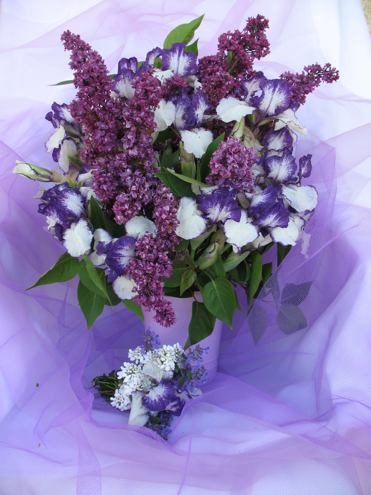 Des Magnolias Sur Ma Voie Lactee Tests Bouquet Et