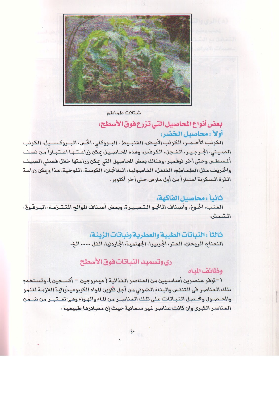 انتج فى المنزل Recycle Idea In Home استخدام مقدمه الزجاجات المصنوعه من الزجاج