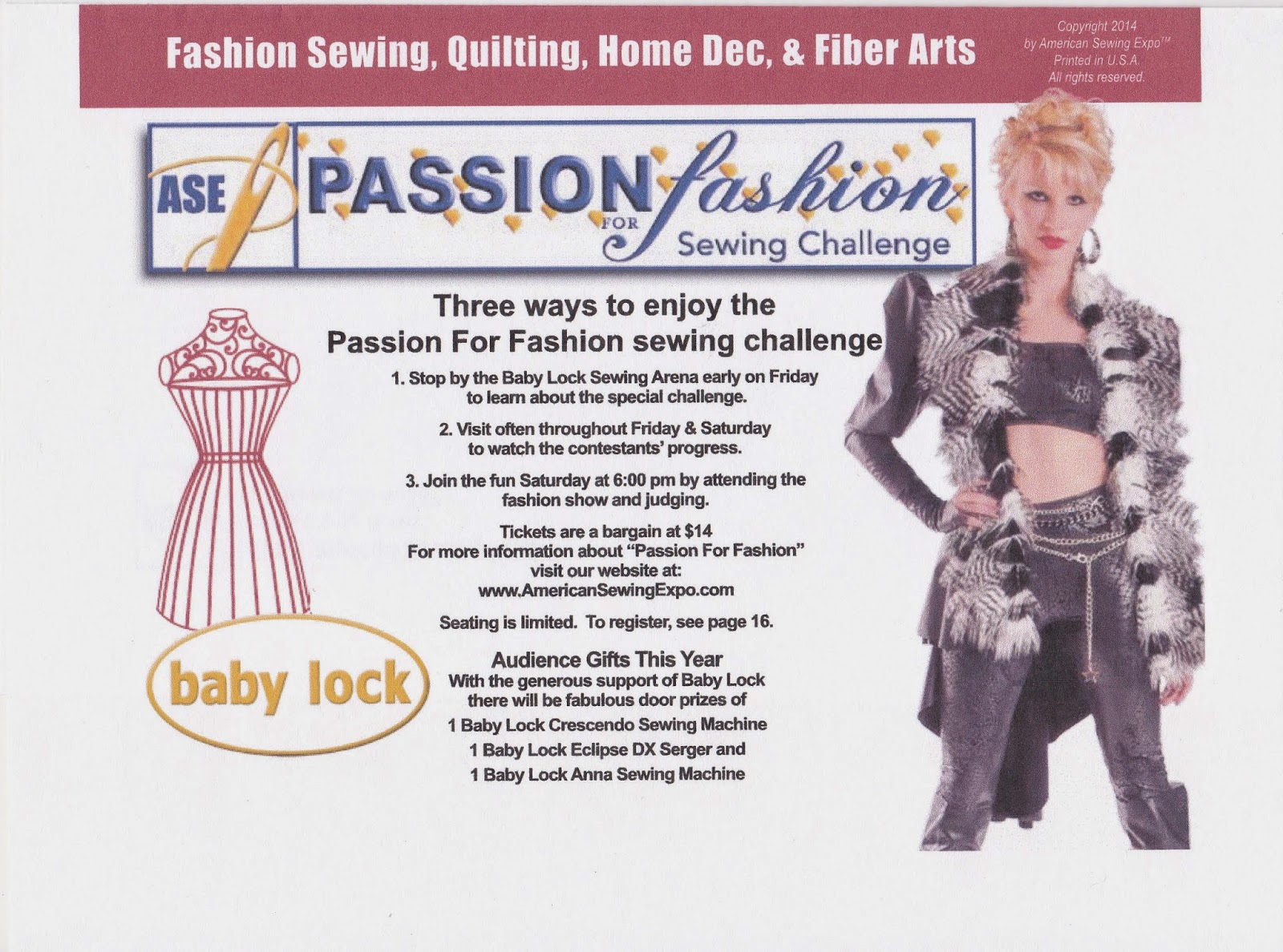 Rhonda's Creative Life I'm Teaching At The American Sewing Expo In Novi!!