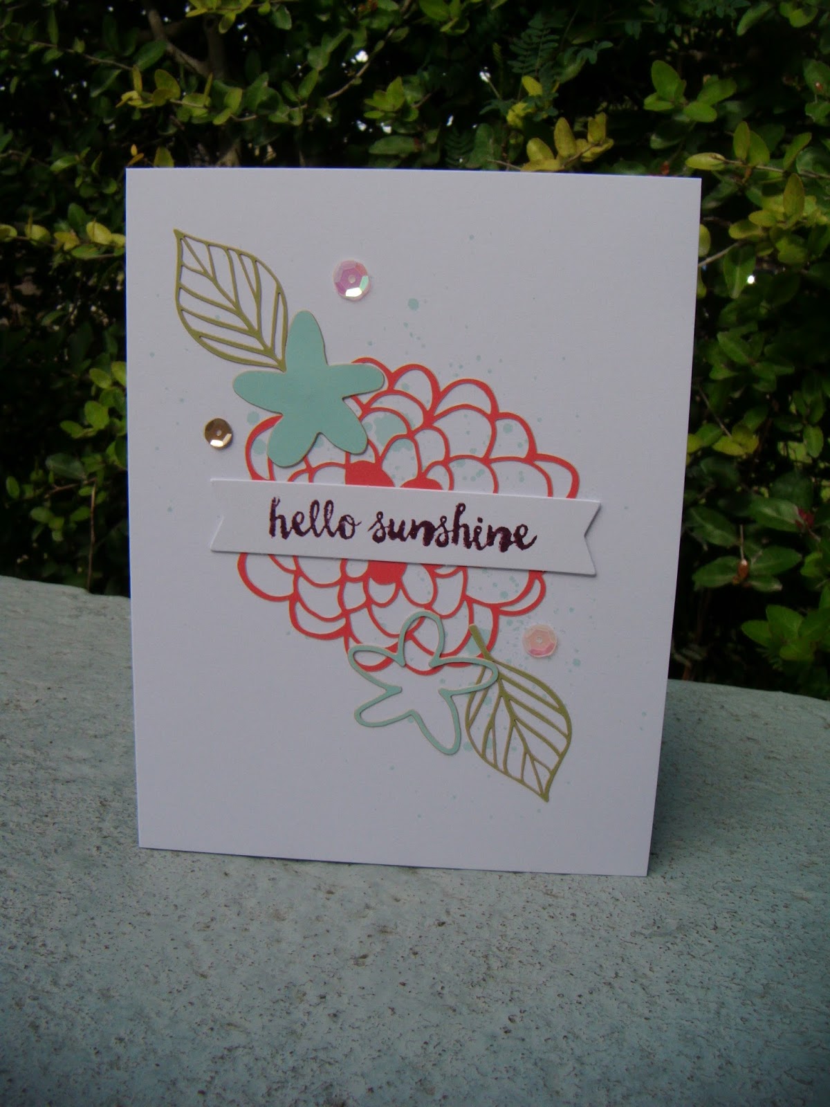 The ABCD Diaries Paper Pumpkin Craft Kit February Edition!