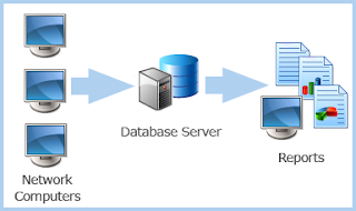 Client/Server Architecture: Client/Server Model