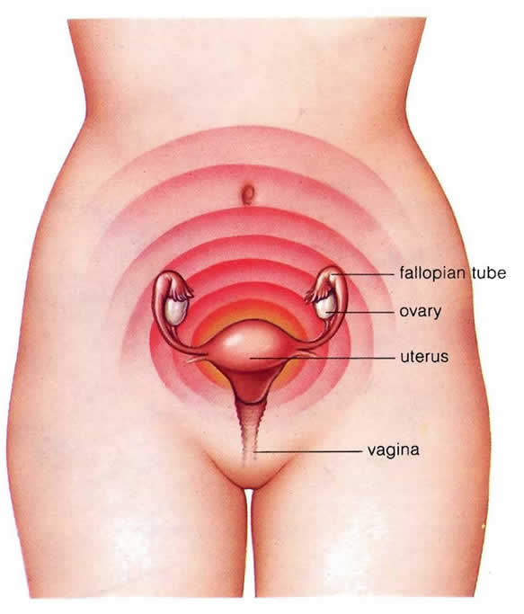 Do You Have Cramps When You Are Pregnant 10