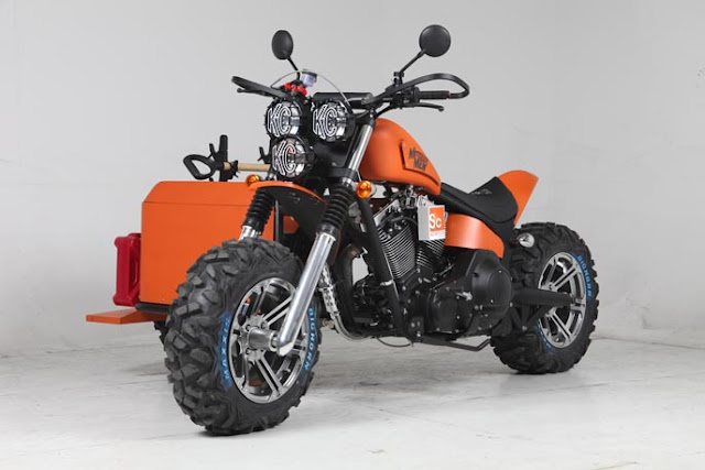 Desert Harley Trike