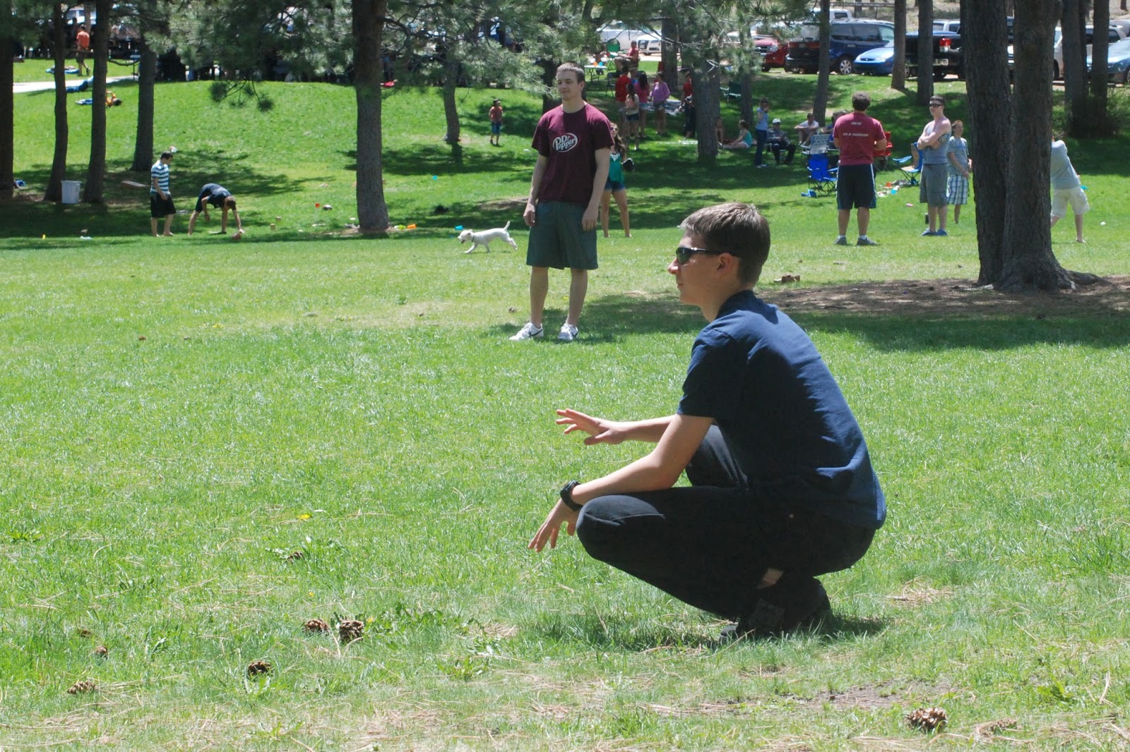 Musings Of The Sixties: Happy Birthday, Tessa