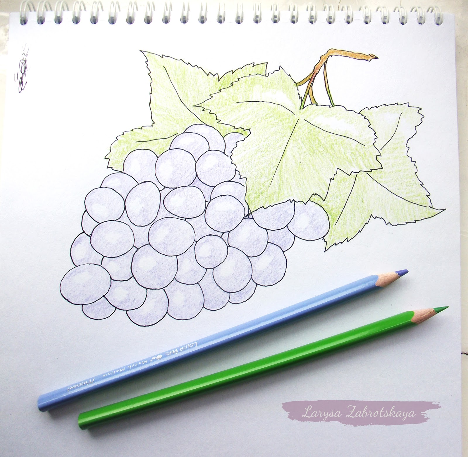 Нарисовать виноград маркерами