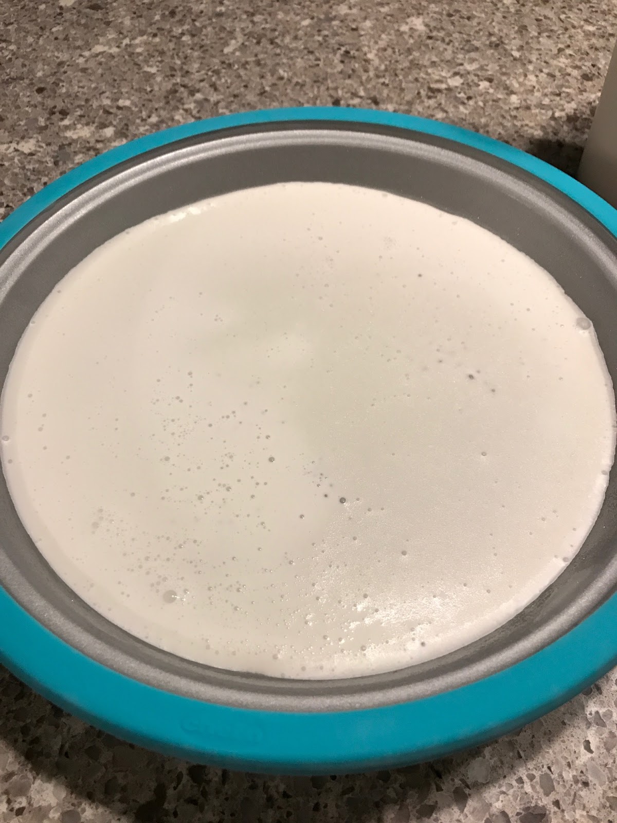 GLUTEN FREE DAIRY FREE HOMEMADE ICE CREAM visual data 7
