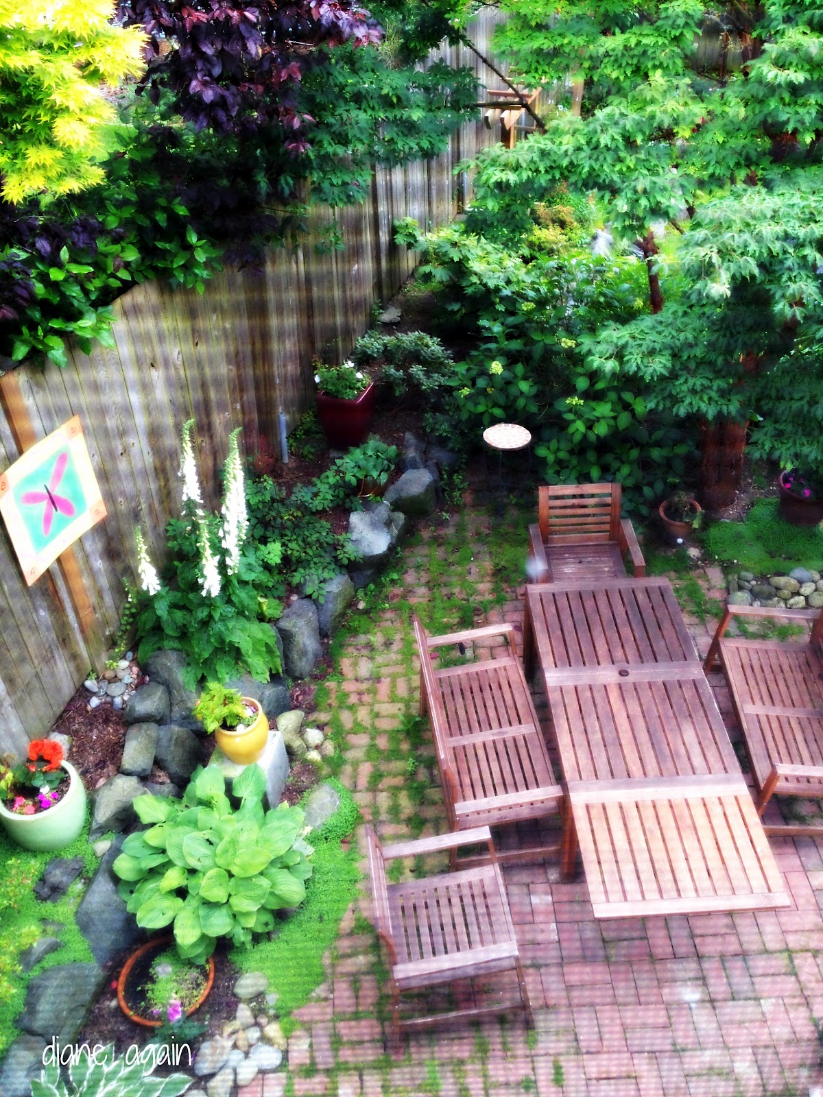 Diane Again: My Backyard Garden